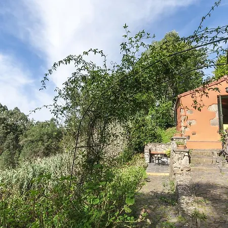 Farm stay El Lance Firgas
